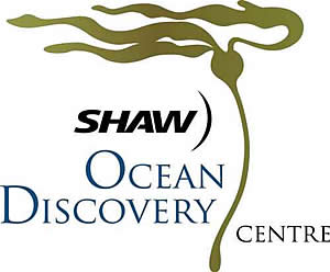 shaw ocean discovery centre