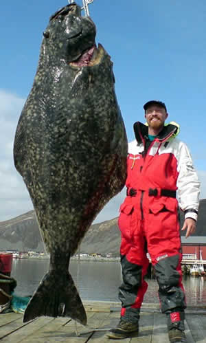 soren beck halibut norway