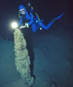 submerged stalagmites