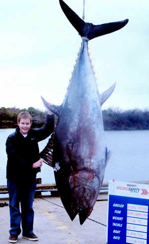 world record bluefin tuna new zealand
