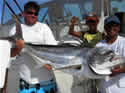 worldrecordroosterfish