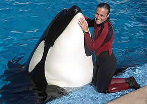 Dawn Brancheau Tilikum SeaWorld Orlando