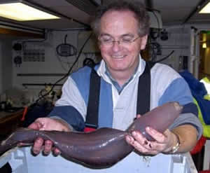 Dr David Billett sea cucumber