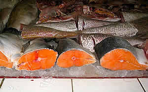 Farmed salmon