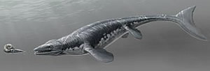 Platecarpus Illustration mosasaur