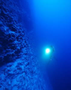 how to fish in the abyssal depths survive the pressure