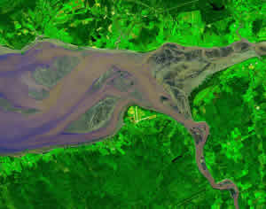 bay of fundy low tide