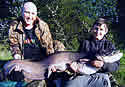 bigfish