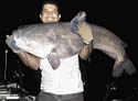 bluecatfishpopulation