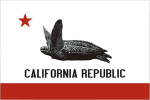 california marine reptile
