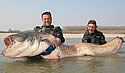 catfishmonster