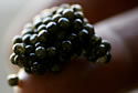 caviar
