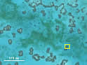 coralgrazinghalosheronsm