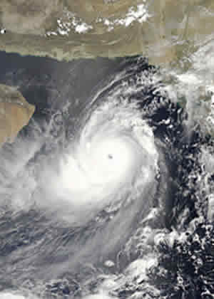 cyclone gonu