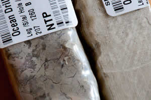 deep ocean Sediment samples