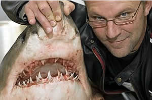 dr wroe great white shark