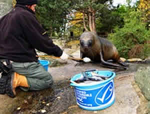 edinburgh zoo sustainable seafood