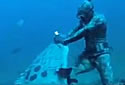 fishfight