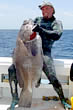 giantgrouper