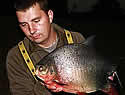 giantpiranha
