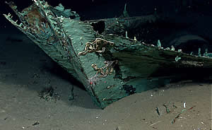 gulf of mexico shipwreck
