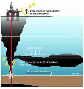 gulf oil pipe to plume