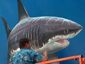 guy harvey catch release shark