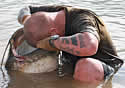 headfish