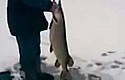 icefishing