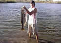 lyingangler