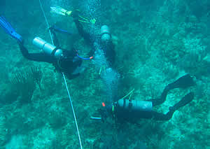 marine protected area belize