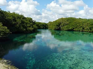 mexico cenote sinkhole