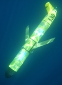 ocean glider