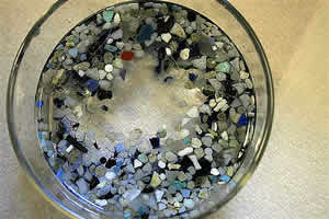 ocean plastics