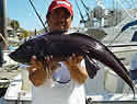 ratfish