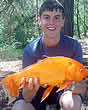 recordgoldfish