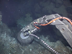 robotic arm ROV Jason II