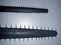 sawtooth