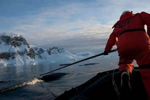 scientists tagging whale antarctica krill humpback