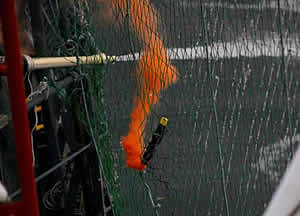 sea shepherd smoke bomb