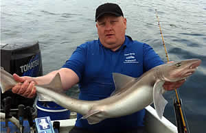 smoothhound shark record