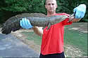 snakeheadmd