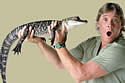 steveirwin