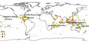 stressed coral reefs