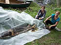 sturgeon6foot