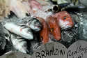 sustainableseafoodsm
