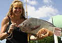tilapiafishrecord