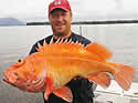ultimateangler