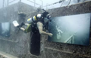 vanderberg dive key west underwater