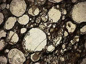volcanic pumice